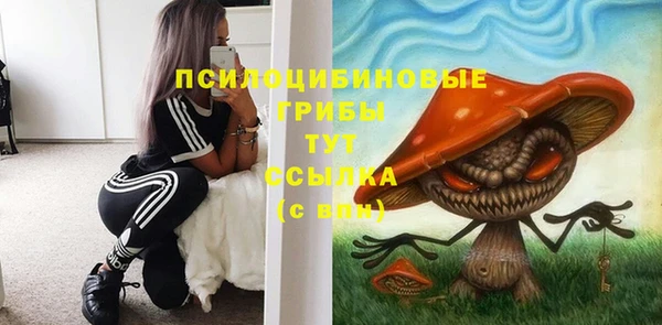 стафф Белокуриха