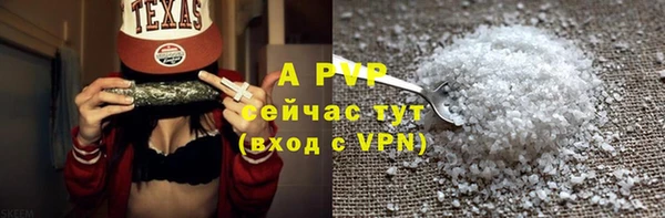стафф Белокуриха
